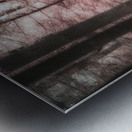 Pink Path -1 Impression metal