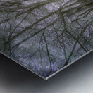 Farm path - 1 Metal print