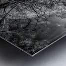 Enchanted Pathways: A Monochrome Overture Metal print