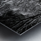 Solitary Trails: Eerie Path Near Knoxville Impression metal