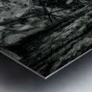 Shadows and Light Dance: Kentucky Leaves Metal print