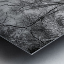 Sam Houstons Oasis Metal print