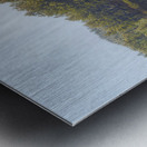 Legion Lake View Metal print