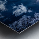 Stairway to Tranquility: Exploring Sylvan Lake South Dakota Impression metal