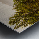 Soaring over Legion Metal print