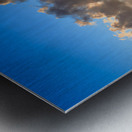 Virginias Golden Veil Metal print