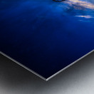 Navigating the Sunset: A Memorable Boat Ride with Wet Net Charters Metal print