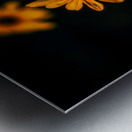 Full Spectrum Flowers Metal print