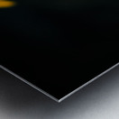 Natures Palette: Full Spectrum Imagery Showcasing Tennessees Black-Eyed Susan Blossoms Impression metal