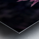 Texas Flower Metal print