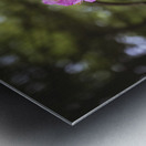 Rhodie - 1 Impression metal