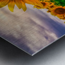 Sunset sunflower Metal print