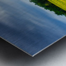 All Hail: A Golden Tapestry of Sunflowers Basking in Sunlight Metal print