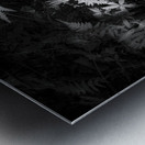 Lighted Fern Metal print