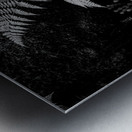 Ferns - 1 Metal print