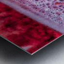 Pink Sunflowers Metal print