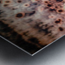 Sunflowers Last Waltz Metal print