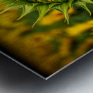 Ready to open Impression metal