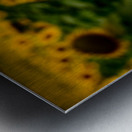 Corner Sunflower: A Radiant Touch of Natures Beauty Impression metal
