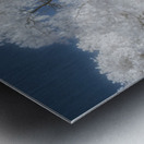 Surreal Barnyard: Glowing Trees in Texas Metal print