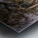 Lighting Seneca Metal print