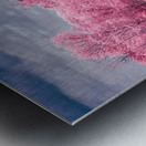 Exploring Texas: A Cotton Candy Roadside Pond Impression metal