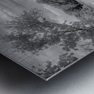 Journey Beyond: Traversing the Worn Road of Appomattox Courthouse Town Metal print