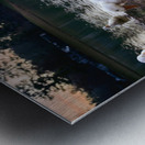 We are Coming Metal print