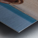 Coastal Grazing Metal print