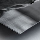 Soulful Connection with Ernie: A Tale of Harmony Metal print