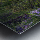 Old Baldy Impression metal