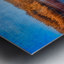 Arboreal Embrace: Trees Embracing the Tranquil Waters Metal print