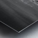 Solitary Whispers in Wild Grass Impression metal