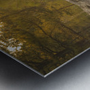 Weathered Stump Metal print