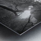 Dance of Light: Lone Sentinel at Dawn Metal print