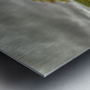 Lake Seneca Storm Metal print