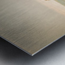 Montana Fenceline Impression metal