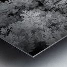 Lost in Tonal Serenity Metal print