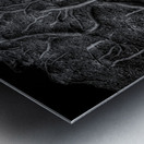 Veins of the Earth Metal print