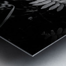 Fern Elegance Impression metal