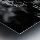 Mossy Whispers Metal print