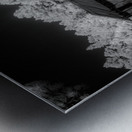 Ghostly Remnants: Spokane South Dakota Metal print