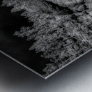 Enigmatic Elegance: Sylvan Lakes Monochrome Marvel Metal print