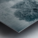 Silent Sentinels: Stonewalls Childhood Trees Impression metal