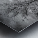 Stairway to History: Stonewalls Ascension Homestead Metal print