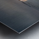 Maritime Melancholy: Shipwrecked Serenity Metal print