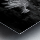 Texture of the Tropics Metal print