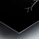 Hey Key Silhouette Metal print