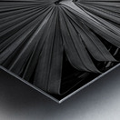 Palm Symmetry Elegance Impression metal