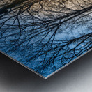 North Carolina Monument Sunset Metal print